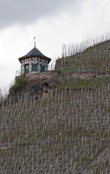 Weingut & Gaestehaus Schmitz-Bergweiler Bernkastel-Kues Εξωτερικό φωτογραφία