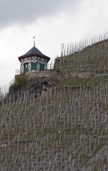 Weingut & Gaestehaus Schmitz-Bergweiler Bernkastel-Kues Εξωτερικό φωτογραφία